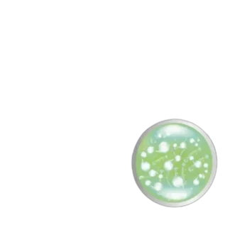 Activlab SanBiotics IBS LACTOBACILLUS PLANTARUM 10 mld 20 kap JELITA Flora